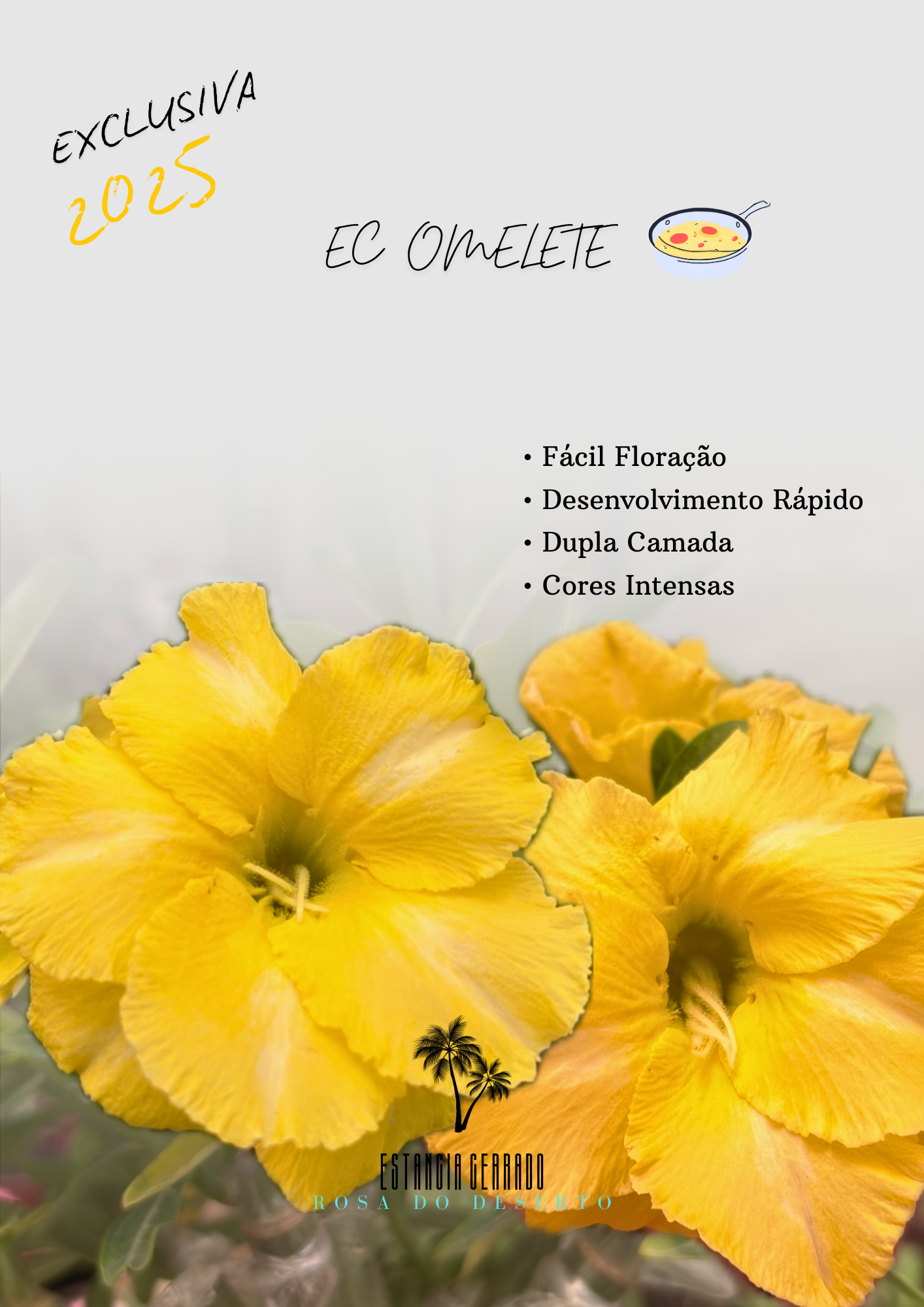 Matriz 5 enxertos ID: EC Omelete