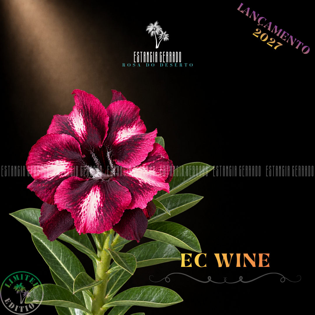 Enxerto De Rosa do Deserto ID: EC Wine