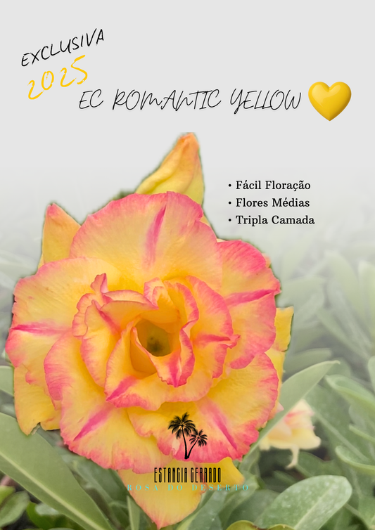 EC Romantic Yellow