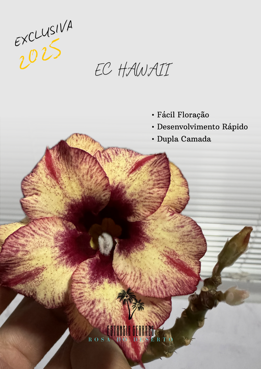 EC Hawaii