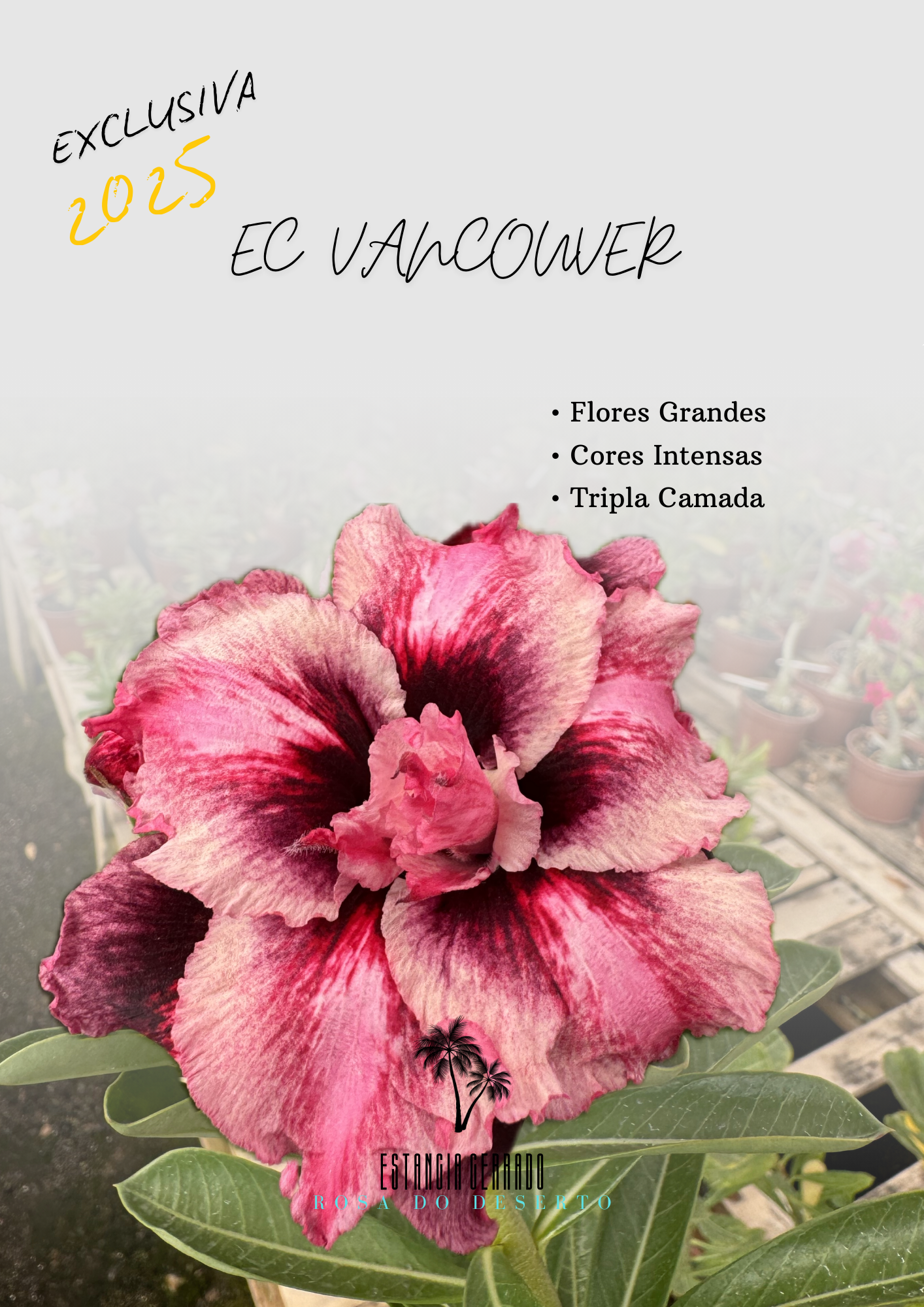 EC Vancouver