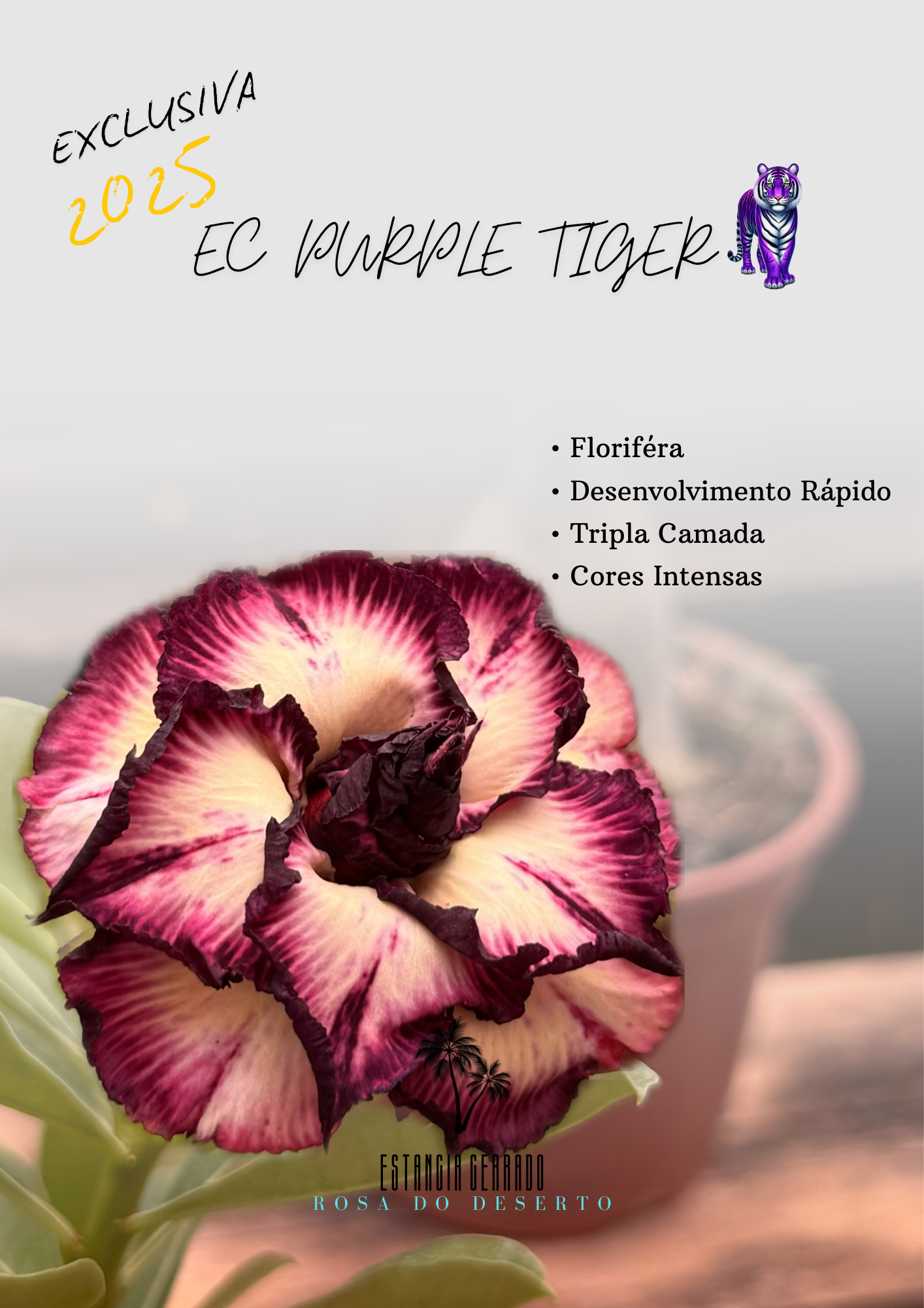 EC Purple Tiger