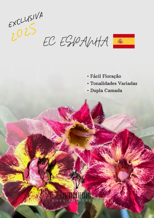 EC Espanha